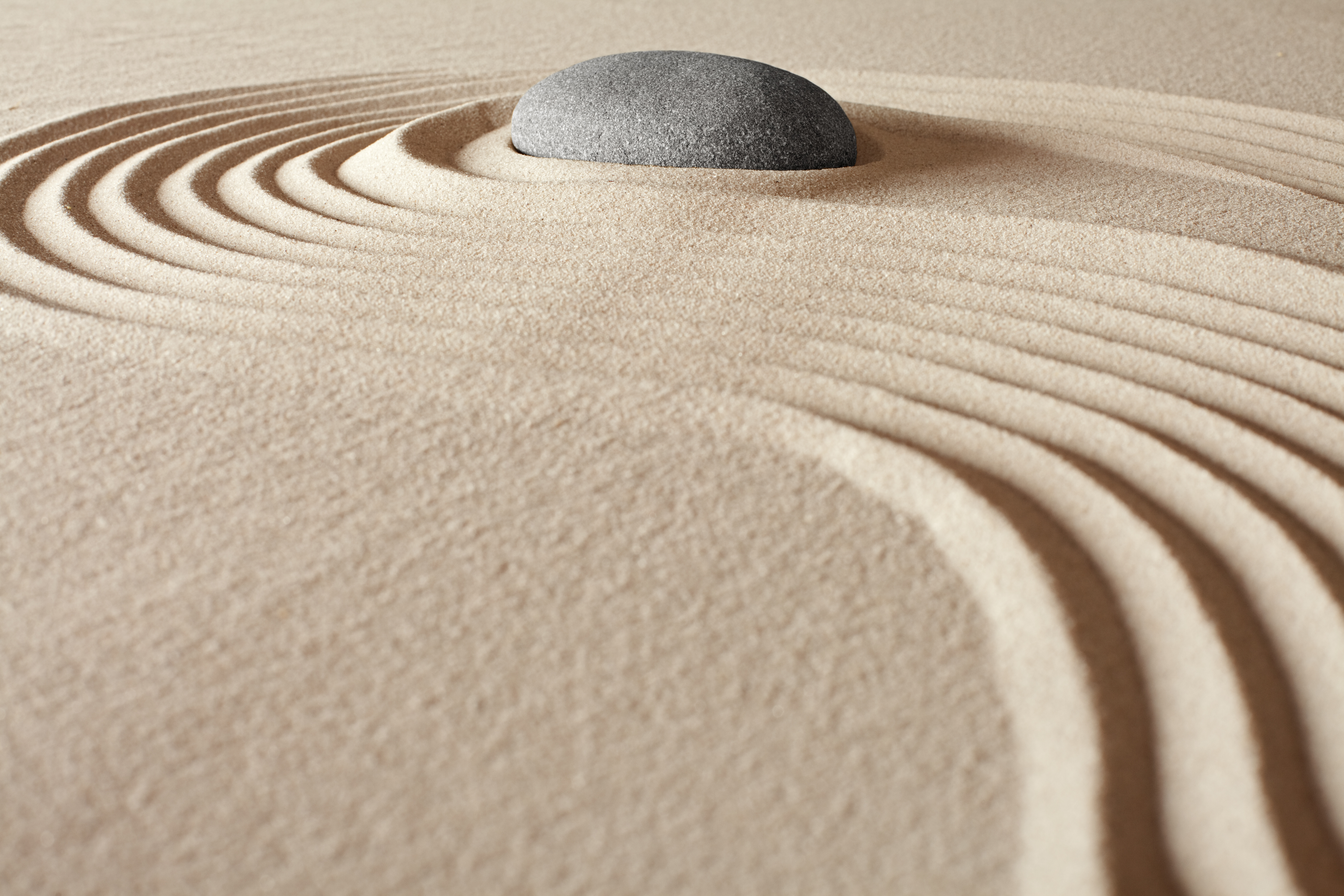 Holistische therapie en hypnotherapie bij Praktijk de IJsvogel 