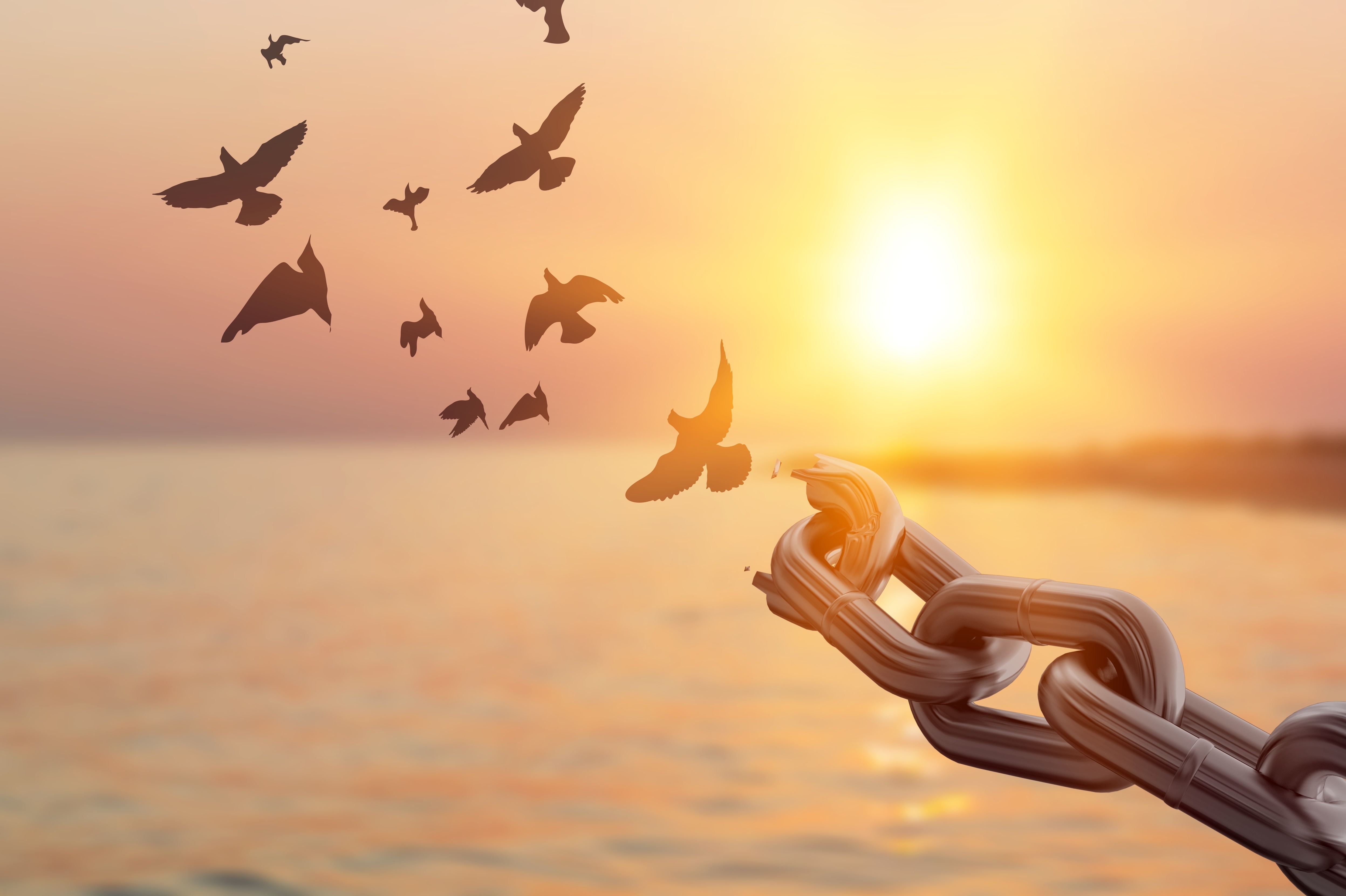 Holistische therapie en hypnotherapie bij Praktijk de IJsvogel 